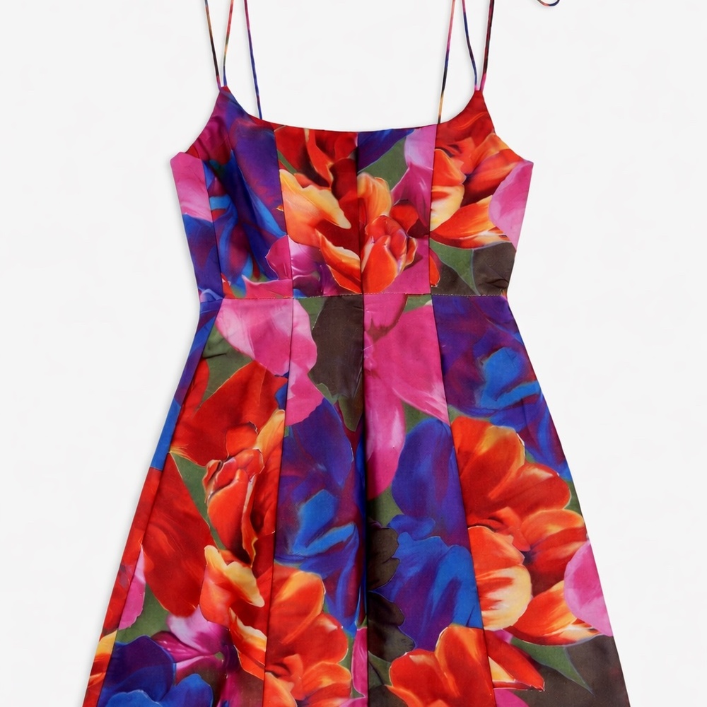 Ted Baker floral print dress